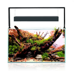 Alternative view of ULTRASCAPE FOREST SET 60