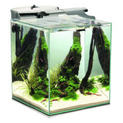 FISH&SHRIMP SET DUO, weiss