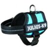 Harnais Power Julius-K9, Baby 1/XS, aigue-marine