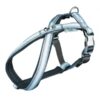 Softline harnais Dog Prince, S-M: 40-66cm/20mm, gris/blanc