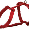 arnais H Premium,XS-S:30-44cm, rouge