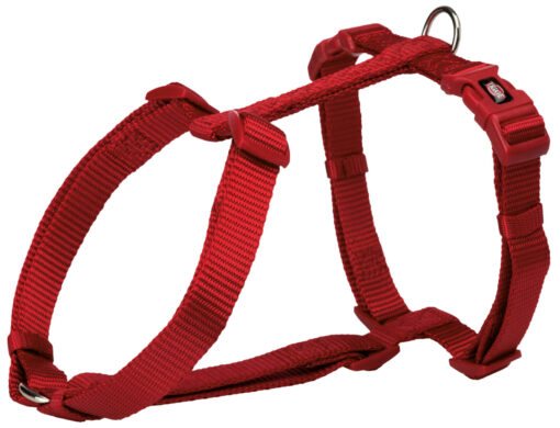 Premium H-Geschirr, rot 10mm, XS-S: 30-44cm