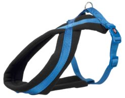 Premium harnais, bleu