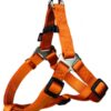 Premium harnais One Touch, XL: 80-100cm/25mm, orange cuivré