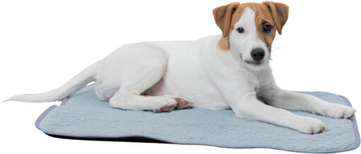 Junior matelas Fresh, 50×40cm, menthe 50×40cm, mint
