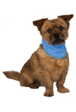 Kühlbandana, PVA