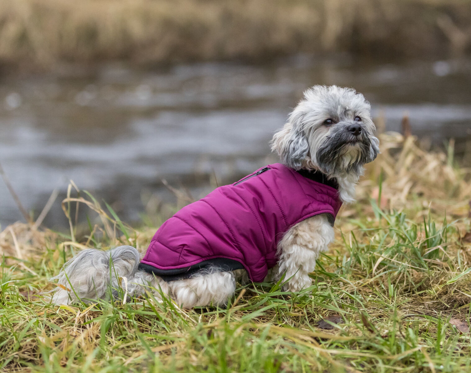 Manteau Arlay, XS: 27 cm, baie XS: 27cm Manteau Arlay, XS: 27 cm, baie XS: 27cm