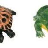 12er Set Frösche + Schildkröten (kl. Fr. 3.70/gr. Fr. 4.40)