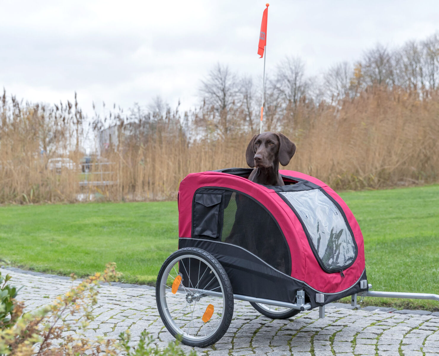 Roulotte de vélo, noir/rouge L: 75×86×80/145 cm Roulotte de vélo, noir/rouge L: 75×86×80/145 cm