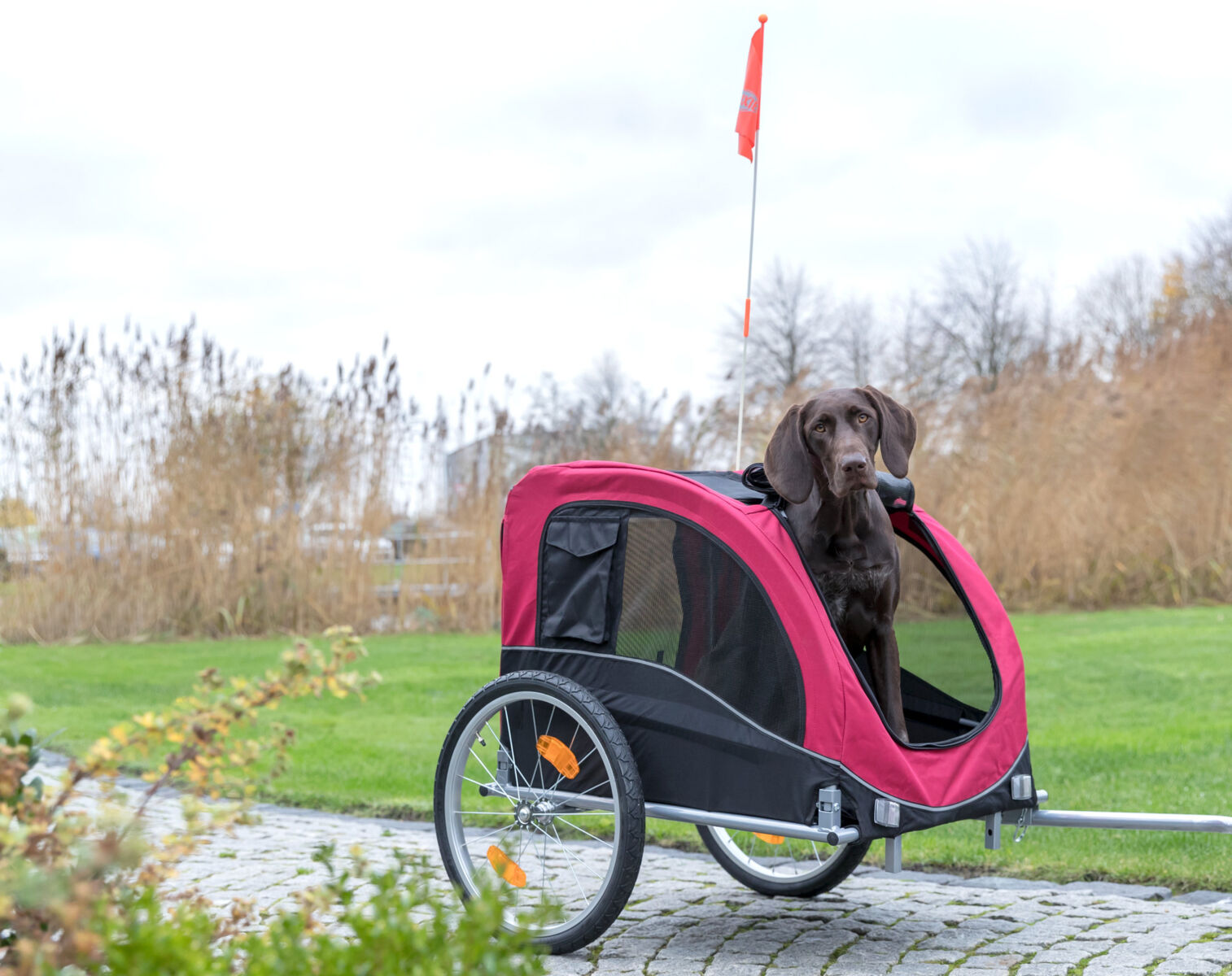 Roulotte de vélo, noir/rouge L: 75×86×80/145 cm Roulotte de vélo, noir/rouge L: 75×86×80/145 cm
