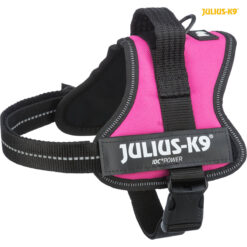 Harnais Power Julius-K9, Mini, fushia