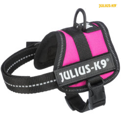 Harnais Power Julius-K9, Baby 1/XS: 30-40cm/18mm, fushia