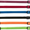 Collier chiot, noir, rouge, bleu, vert, orange, violet