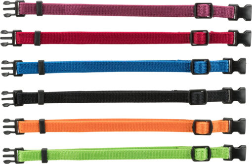 Collier chiot, noir, rouge, bleu, vert, orange, violet S-M: 17-25cm/10mm, 6 St.