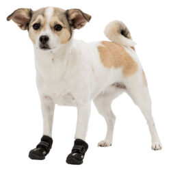 Bottes de protection Walker Active,2 Pcs