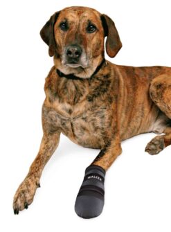 Alternative view of 2 Bottines p.chiens Walker noir