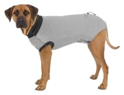 Body de protection, L-XL: 62cm, gris