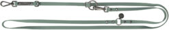 CityStyle laisse réglable, PVC, L-XL, sauge