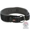 Premium collier, extra large, L-XL: 53-62cm/50 mm, noir/gris