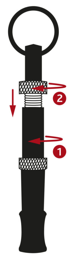 Alternative view of Hochfrequenzpfeife einfach