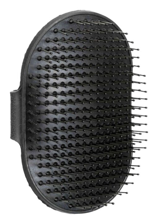 Terrier-Striegel oval