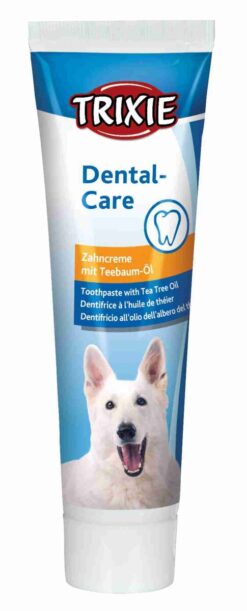 Dentifrice à l'huille de l'arbre the