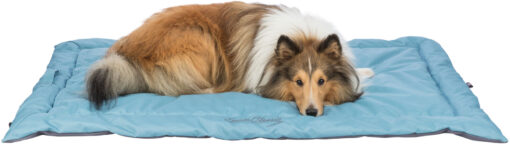 Reisedecke Samoa Classic, eisblau/grau 85×70cm