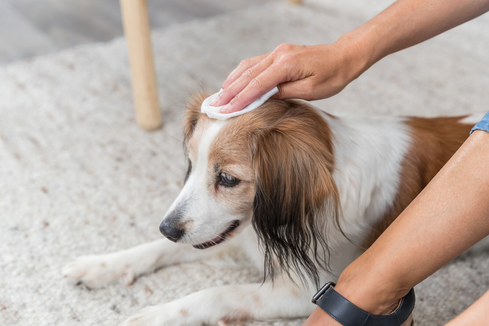 Lingettes de soin universelles, 30 Pcs Lingettes de soin universelles, 30 Pcs