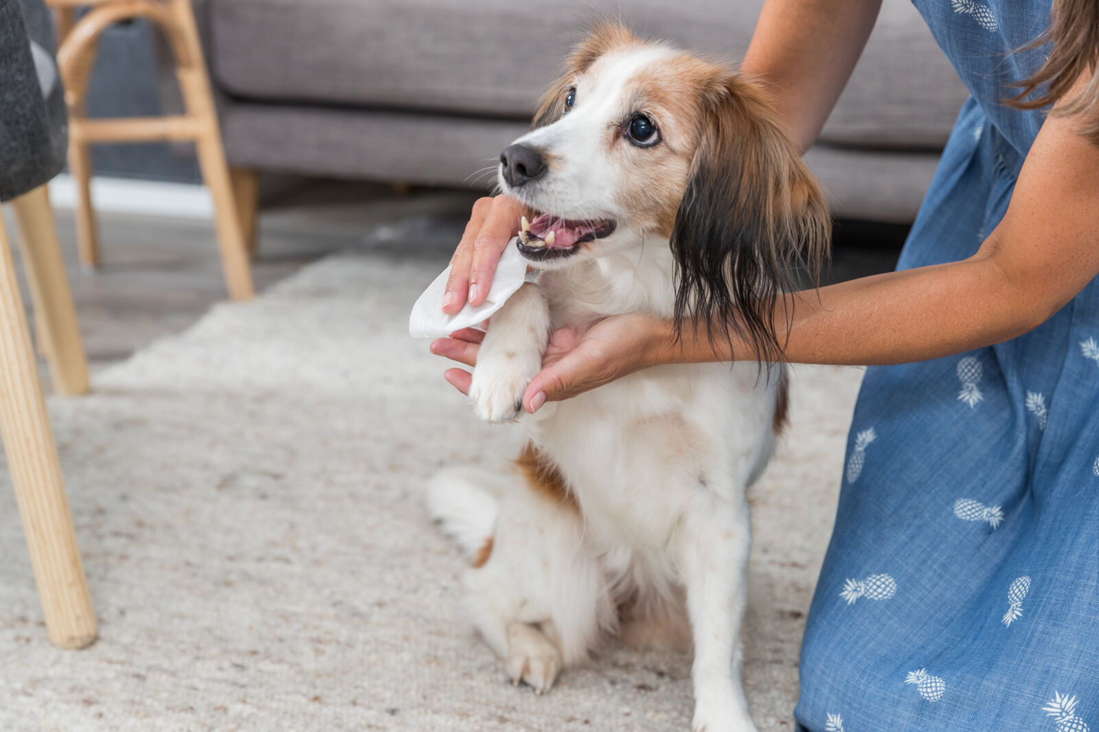 Lingettes de soin universelles, 30 Pcs Lingettes de soin universelles, 30 Pcs