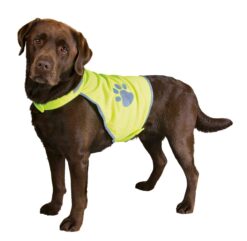 Alternative view of Gilet de sécurit, pour chiens, XS