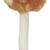 Chicken Cheese Lolly, lose, 10cm, 20 g