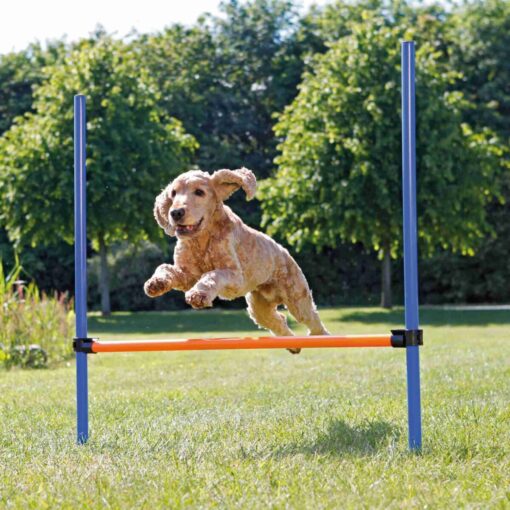Agility Hürde 115xø3.3cm