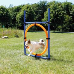Alternative view of Agility Ring