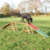 Dog Activity Agility Steg