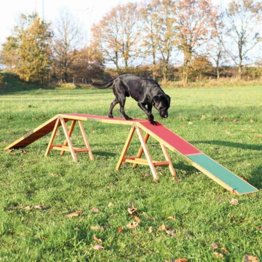 Dog Activity Agility Dogwalk 456×64×30cm