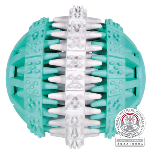 DENTAfun balle, menthe ø 6cm
