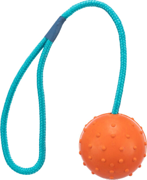 Ball am Seil, 30cm ø6cm