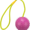 Gummiball am Seil, 30cm