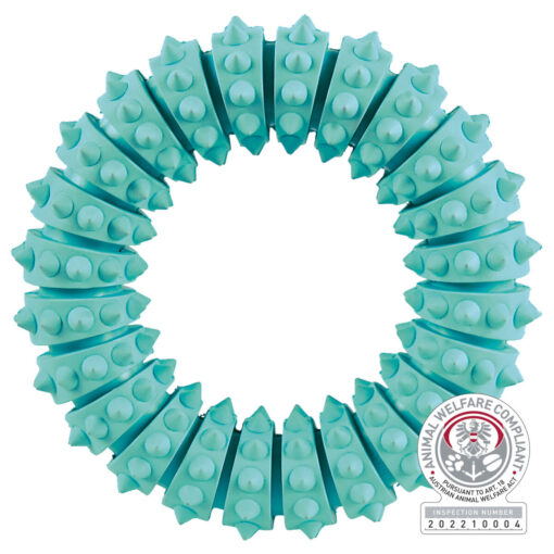DENTAfun Ring, Mintfresh, Naturgummi ø12cm