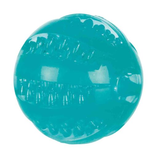 Denta Fun balle, caoutchouc thermoplastique (TPR), ø 6cm
