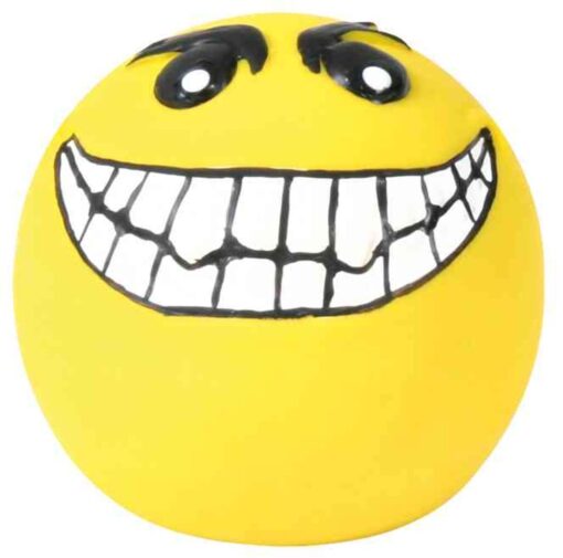 Smiley, Latex/Polyestervlies, ø6cm nur per VE 4Stk.