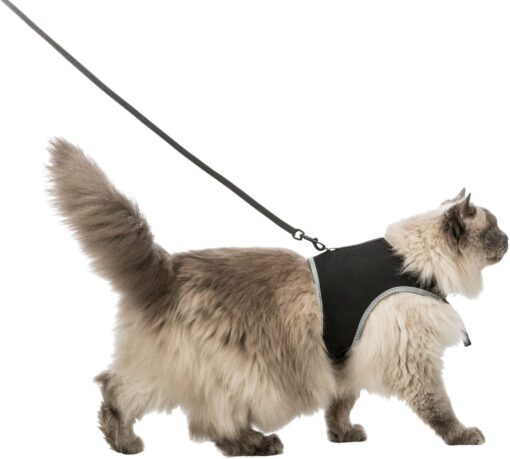 Softgeschirr mit Leine, Katze, XL,1.20m,schw. 36-54cm