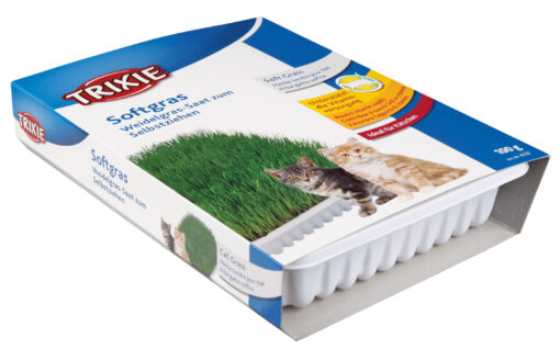 Biogras Schale, ca. 100 g