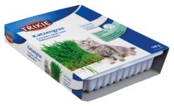 Alternative view of Katzengras-Schale,ca 100g