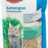 Katzengras-Nachfüllung