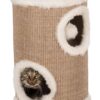 Cat Tower, Edoardo