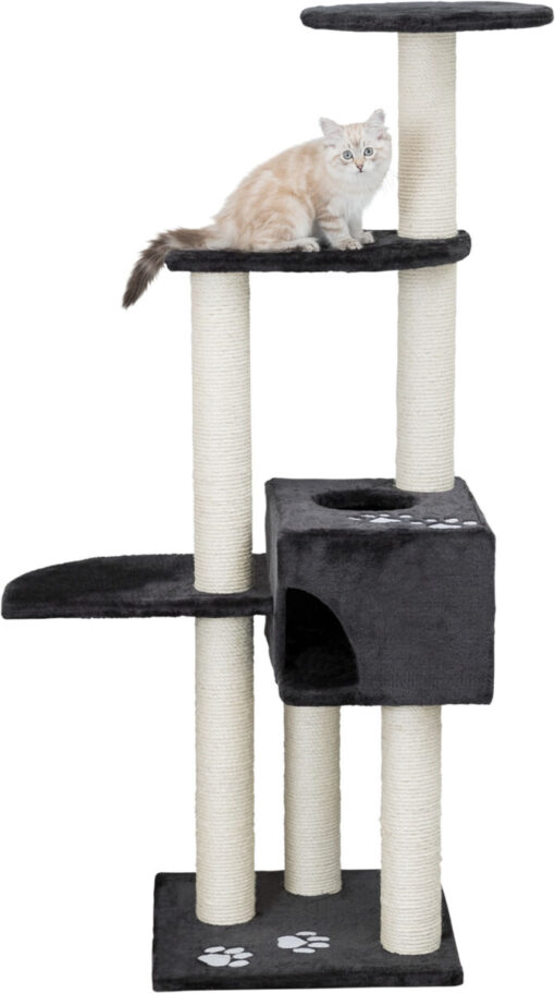 Arbre à chat "Alicante", anthrazit 142cm