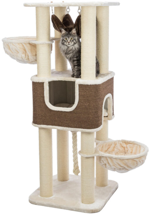 Arbre à chat XXL Humberto, 174 cm, crème/brun foncé 2-teilig