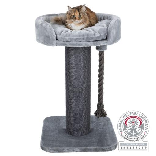 Arbre à chat XXL Klara, 100 cm, gris