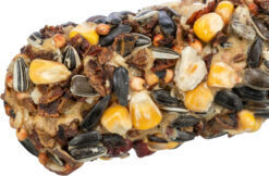 Alternative view of Aliment en barre XL pour écureuils, 30 cm